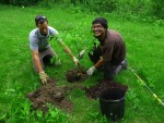 Spring Tree Planting